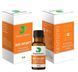 Root Antisept, Раствор камфорного парахлорфенола, 15 мл (Dengen Dental) ГК-39 фото 1